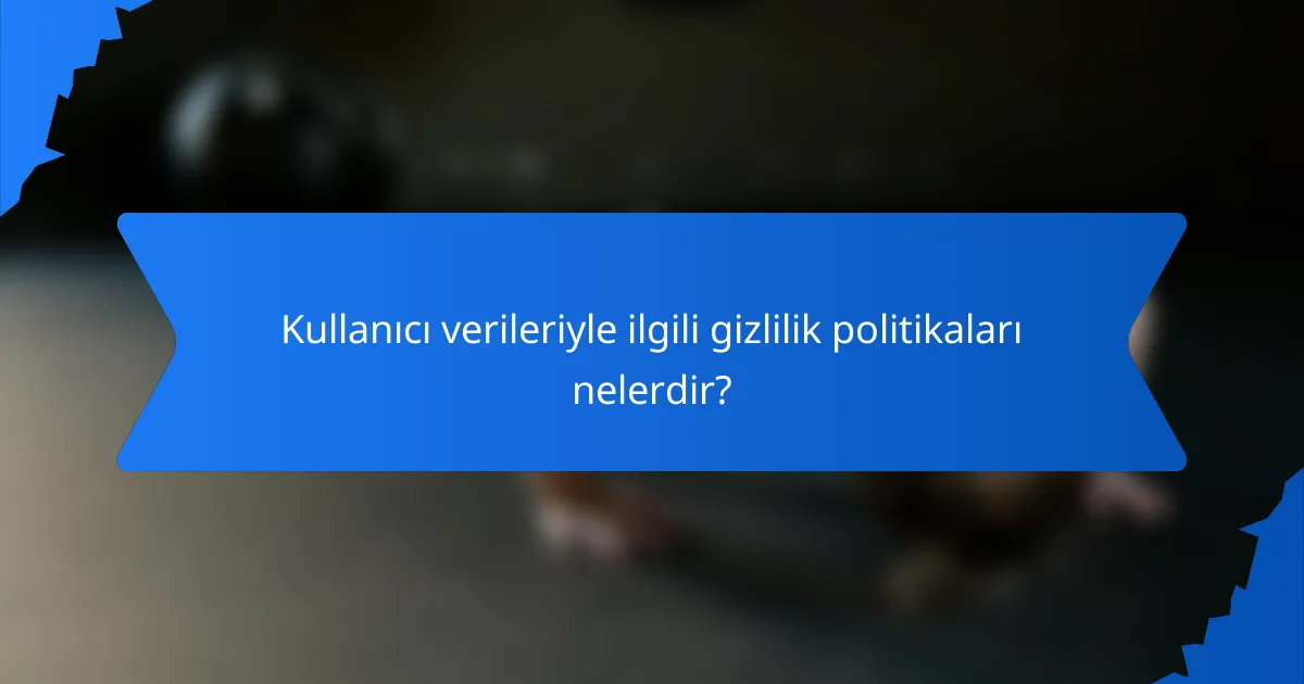 Kullanıcı verileriyle ilgili gizlilik politikaları nelerdir?
